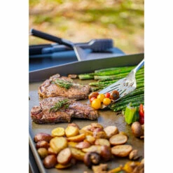 Pit Boss 4-Burner Griddle -Ash Roamer Sales Store 10962 4BurnerStandard Lifestyle3