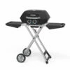Pit Boss 2-Burner Portable Gas Grill With Collapsible Cart -Ash Roamer Sales Store 2 Burner Portable Gas Grill Studio Image